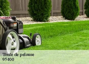 Tonte de pelouse  95400