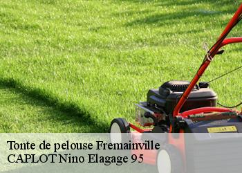 Tonte de pelouse  fremainville-95450 CAPLOT Nino Elagage 95