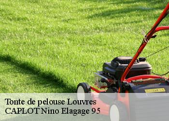 Tonte de pelouse  louvres-95380 CAPLOT Nino Elagage 95