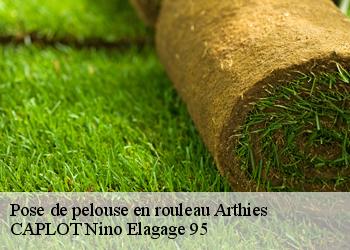 Pose de pelouse en rouleau  arthies-95420 CAPLOT Nino Elagage 95