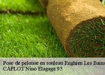 Pose de pelouse en rouleau  enghien-les-bains-95880 CAPLOT Nino Elagage 95