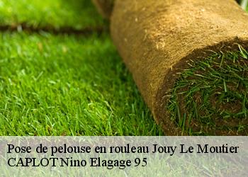 Pose de pelouse en rouleau  jouy-le-moutier-95280 CAPLOT Nino Elagage 95