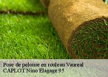 Pose de pelouse en rouleau  vaureal-95490 CAPLOT Nino Elagage 95