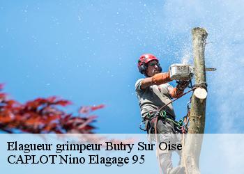 Elagueur grimpeur  butry-sur-oise-95430 CAPLOT Nino Elagage 95