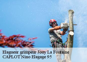 Elagueur grimpeur  jouy-la-fontaine-95280 CAPLOT Nino Elagage 95