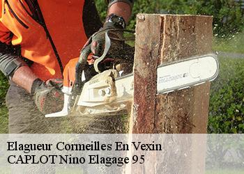 Elagueur  cormeilles-en-vexin-95830 CAPLOT Nino Elagage 95