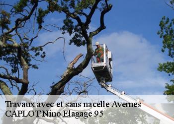 Travaux avec et sans nacelle  avernes-95450 CAPLOT Nino Elagage 95