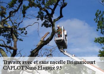 Travaux avec et sans nacelle  brignancourt-95640 CAPLOT Nino Elagage 95