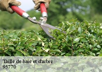 Taille de haie et d'arbre  95770