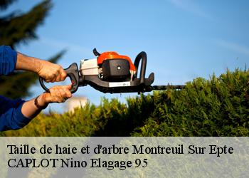 Taille de haie et d'arbre  montreuil-sur-epte-95770 CAPLOT Nino Elagage 95