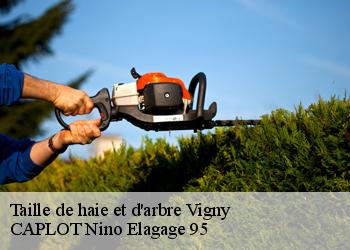 Taille de haie et d'arbre  vigny-95450 CAPLOT Nino Elagage 95