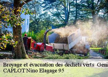 Broyage et évacuation des déchets verts   genicourt-95650 CAPLOT Nino Elagage 95