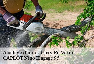 Abattage d'arbres  clery-en-vexin-95420 CAPLOT Nino Elagage 95